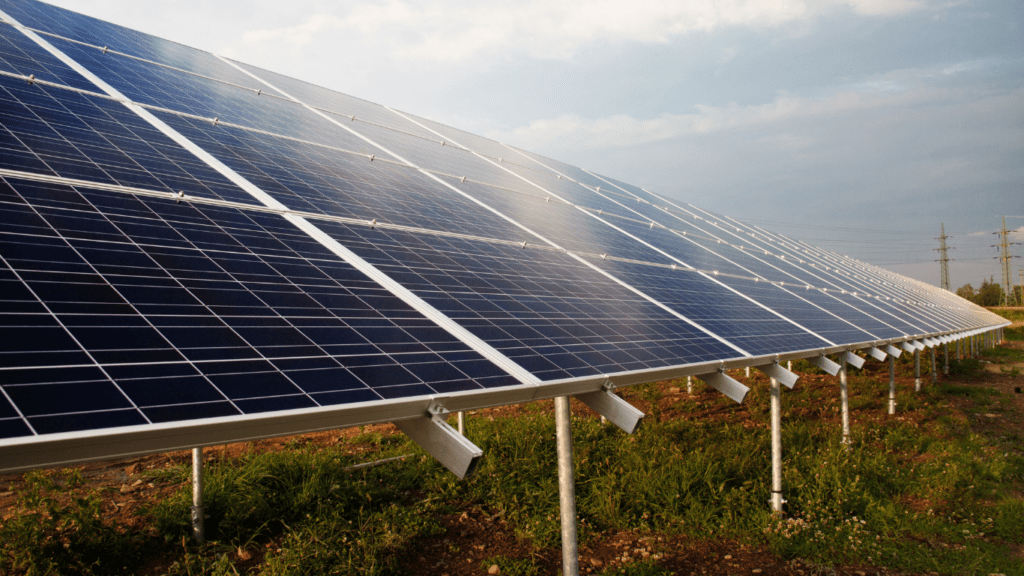 solar panels used for renewable energy