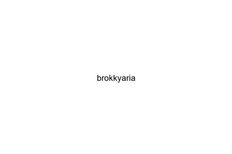 brokkyaria