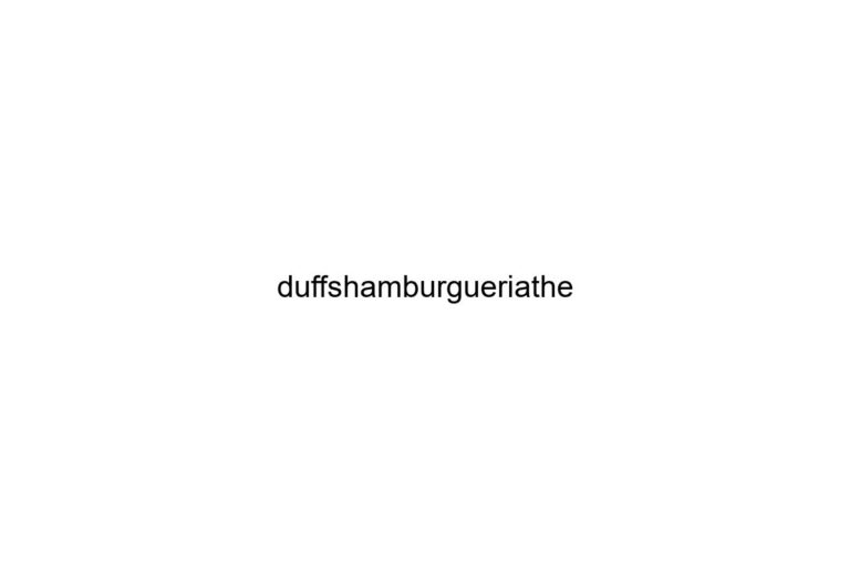 duffshamburgueriathe