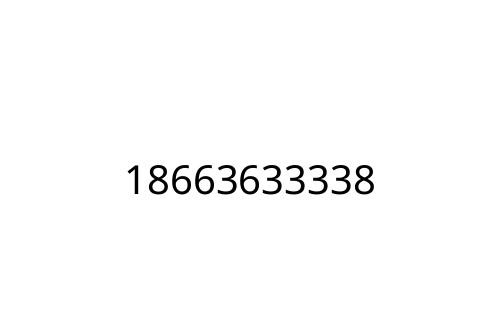 18663633338
