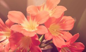 1mzncofsg922a6xaf009