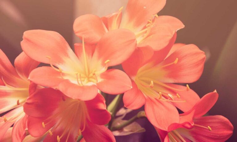 1mzncofsg922a6xaf009