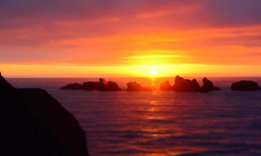 can i play biohunt2000 with friends on different computers