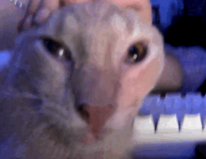 etrsnft nft advice from etherions