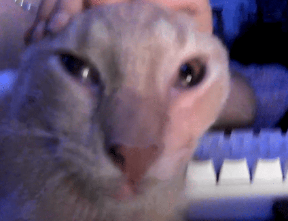 etrsnft nft advice from etherions