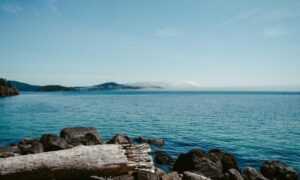 is feduspray home air freshener spray the best for your home