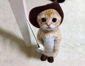 jerkofftomarathicelebs