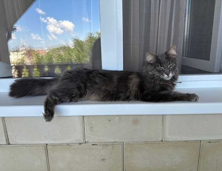 nft tutorials etrsnft