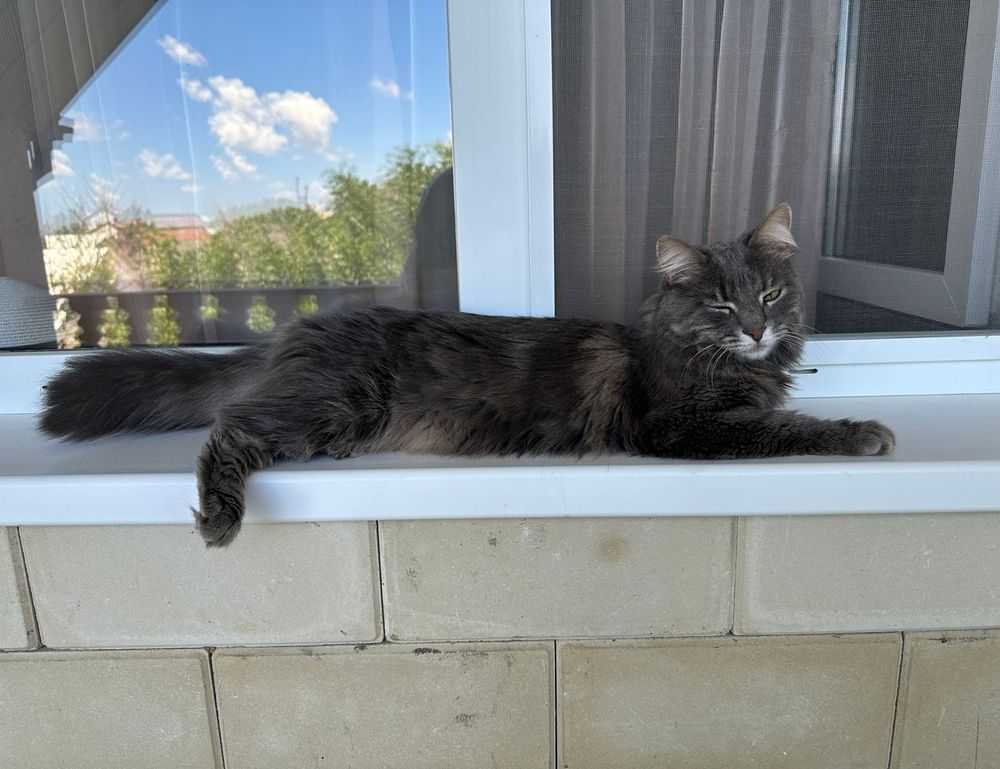 nft tutorials etrsnft