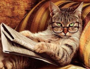 what is ocvibum wealth management ltd