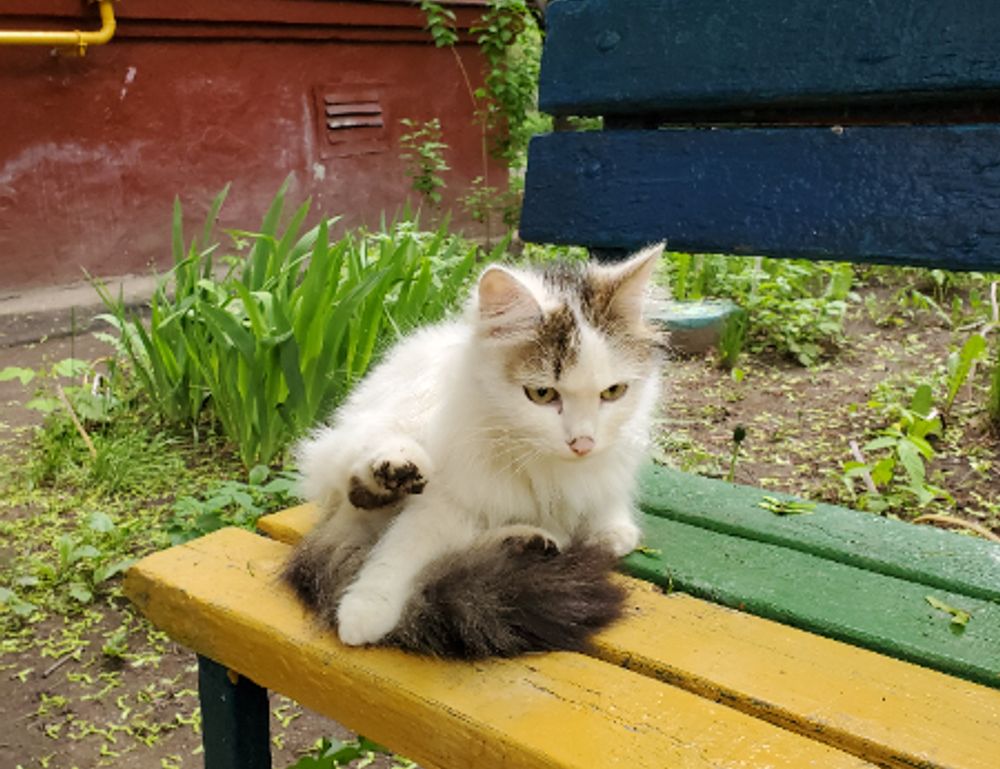 what is ocvibum wealth management ltd