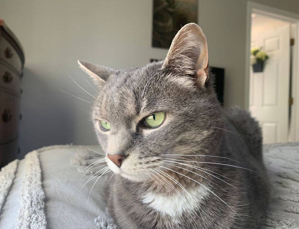 what is ocvibum wealth management ltd