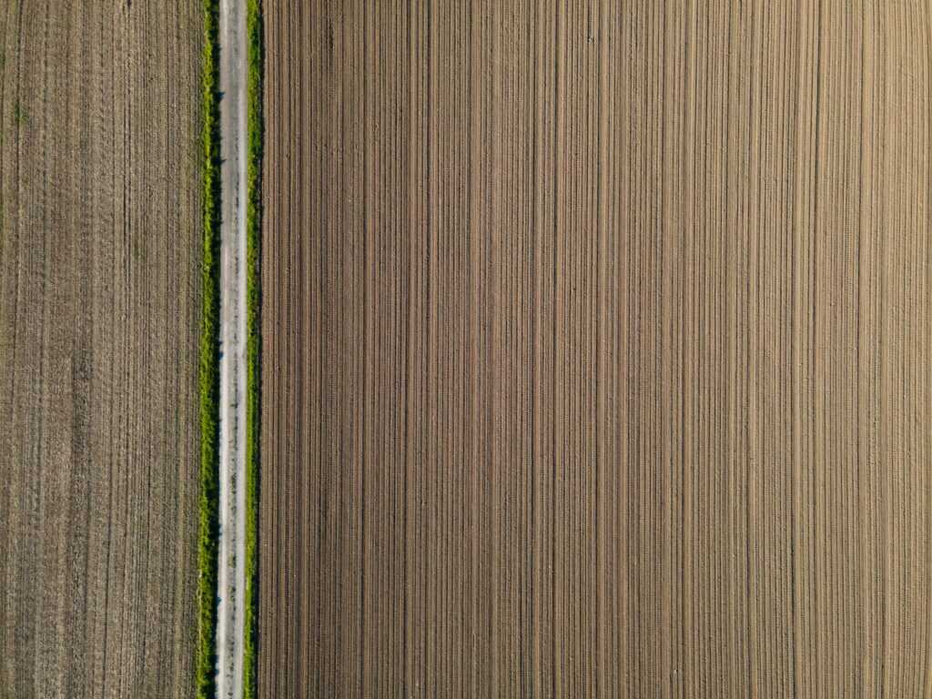 yield farming vs staking