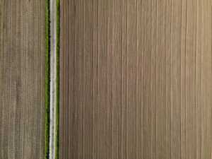 yield farming vs staking