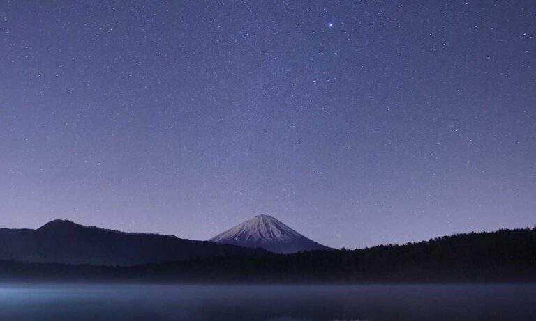 bendera palestin colouring
