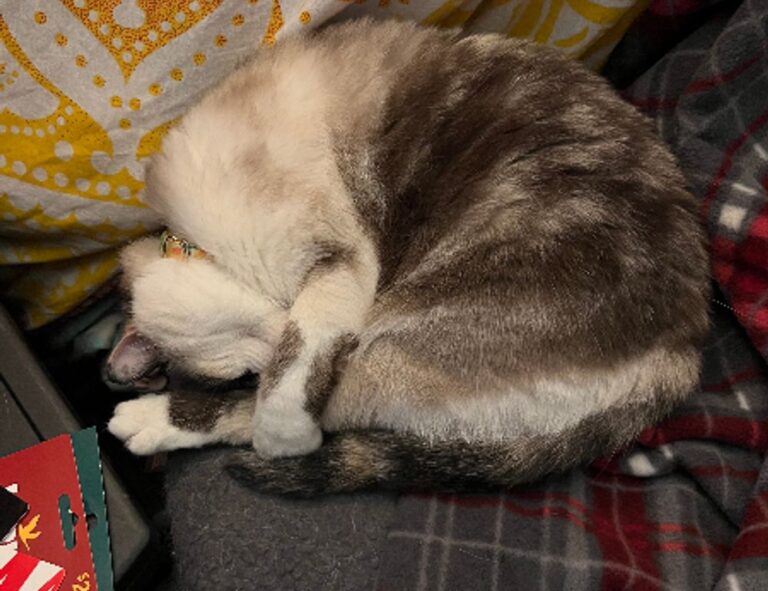 drake video polemico