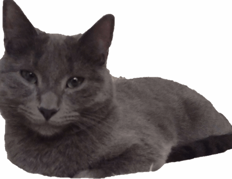 gambar kartun palestin