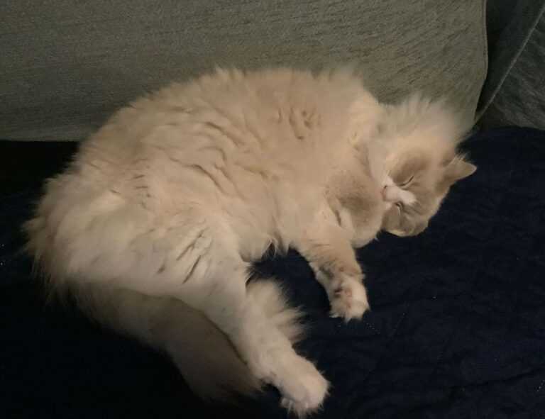 middenscheiding taper fade