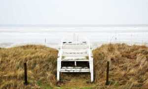 ultra instinct:g11_1q4380i= goku