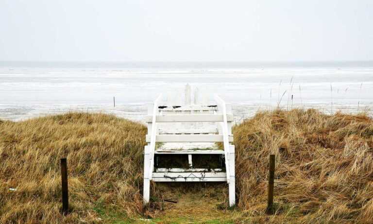 ultra instinct:g11_1q4380i= goku