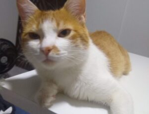 what does mhm mean on snap