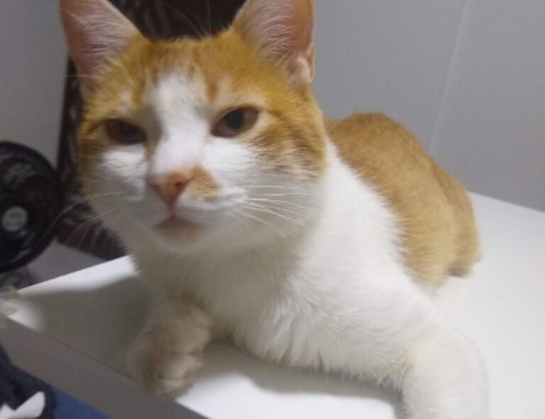 what does mhm mean on snap