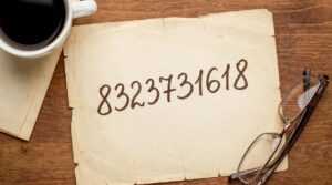 8323731618