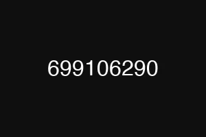 699106290