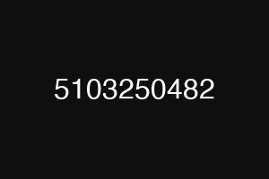5103250482