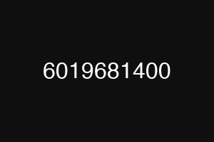 6019681400