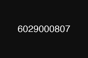 6029000807