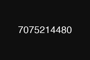 7075214480
