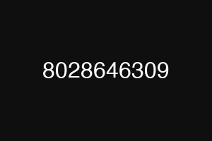 8028646309