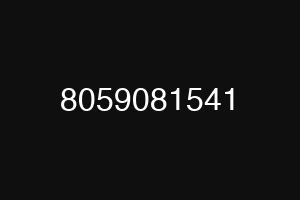 8059081541