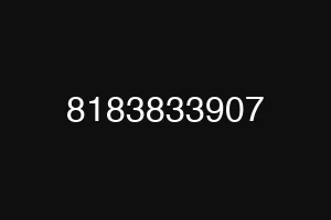 8183833907