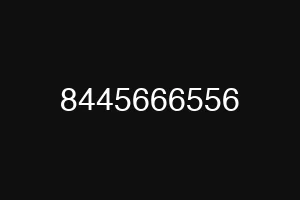 8445666556