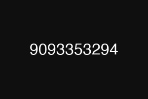 9093353294