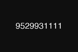 9529931111