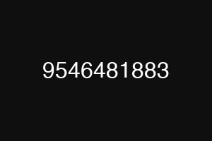 9546481883